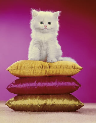 Chromotherapia: Feel-Good Color Photography Book