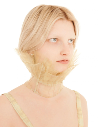 Lestat Collar