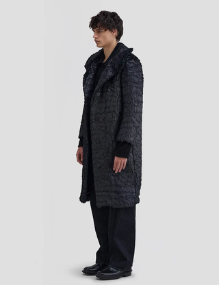 Varnish Coat