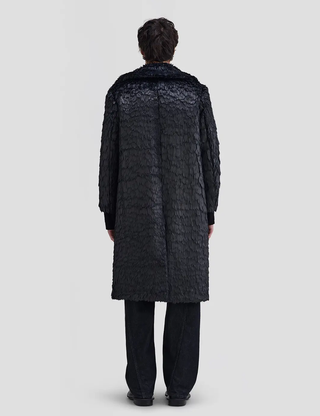 Varnish Coat