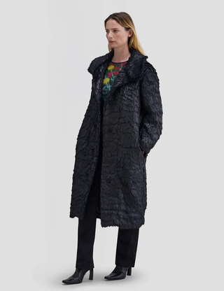 Varnish Coat