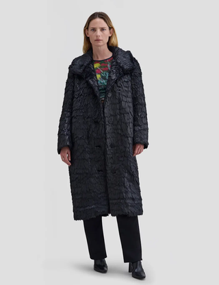 Varnish Coat