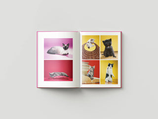 Chromotherapia: Feel-Good Color Photography Book