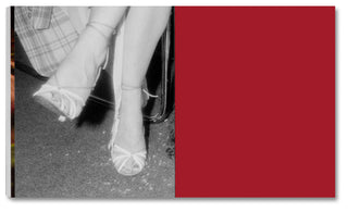 Sex, Clubs, Dissent: Visualising Queer Nightlife