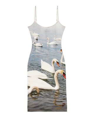 Swan Dress