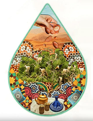 WOO Argan Oil