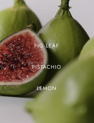 WILDLY FIG