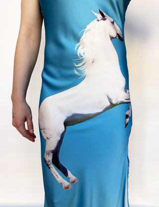 Equestrian Dress Blue