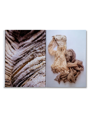 Dirty Looks: Desire and Decay in Fashion