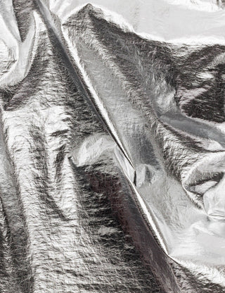 Metallic Silver Bag