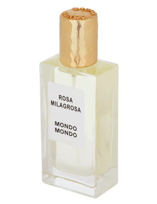 Rosa Milagrosa