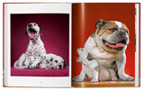 Walter Chandoha: Dogs Photographs 1941–1991
