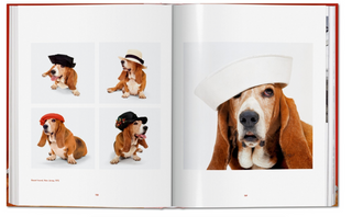 Walter Chandoha: Dogs Photographs 1941–1991