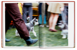 Walter Chandoha: Dogs Photographs 1941–1991