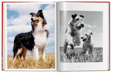 Walter Chandoha: Dogs Photographs 1941–1991
