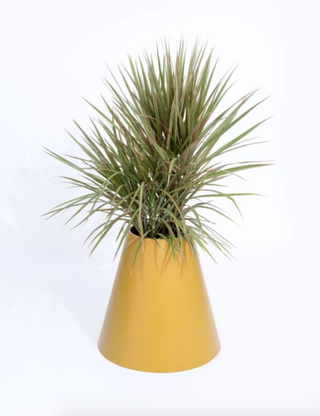 PIECES By An Aesthetic Pursuit Cone Planter Yellow